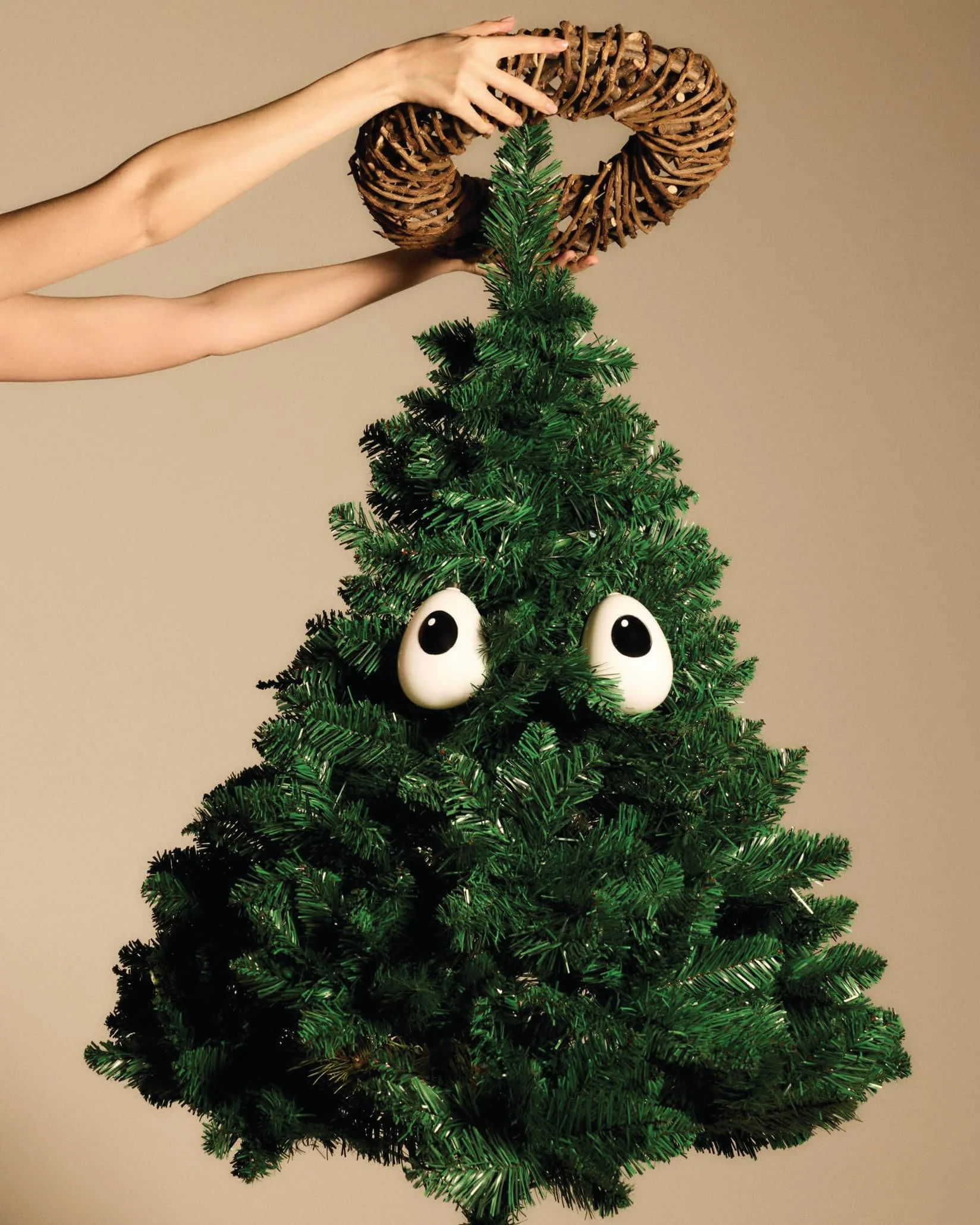 Holly - Image 2