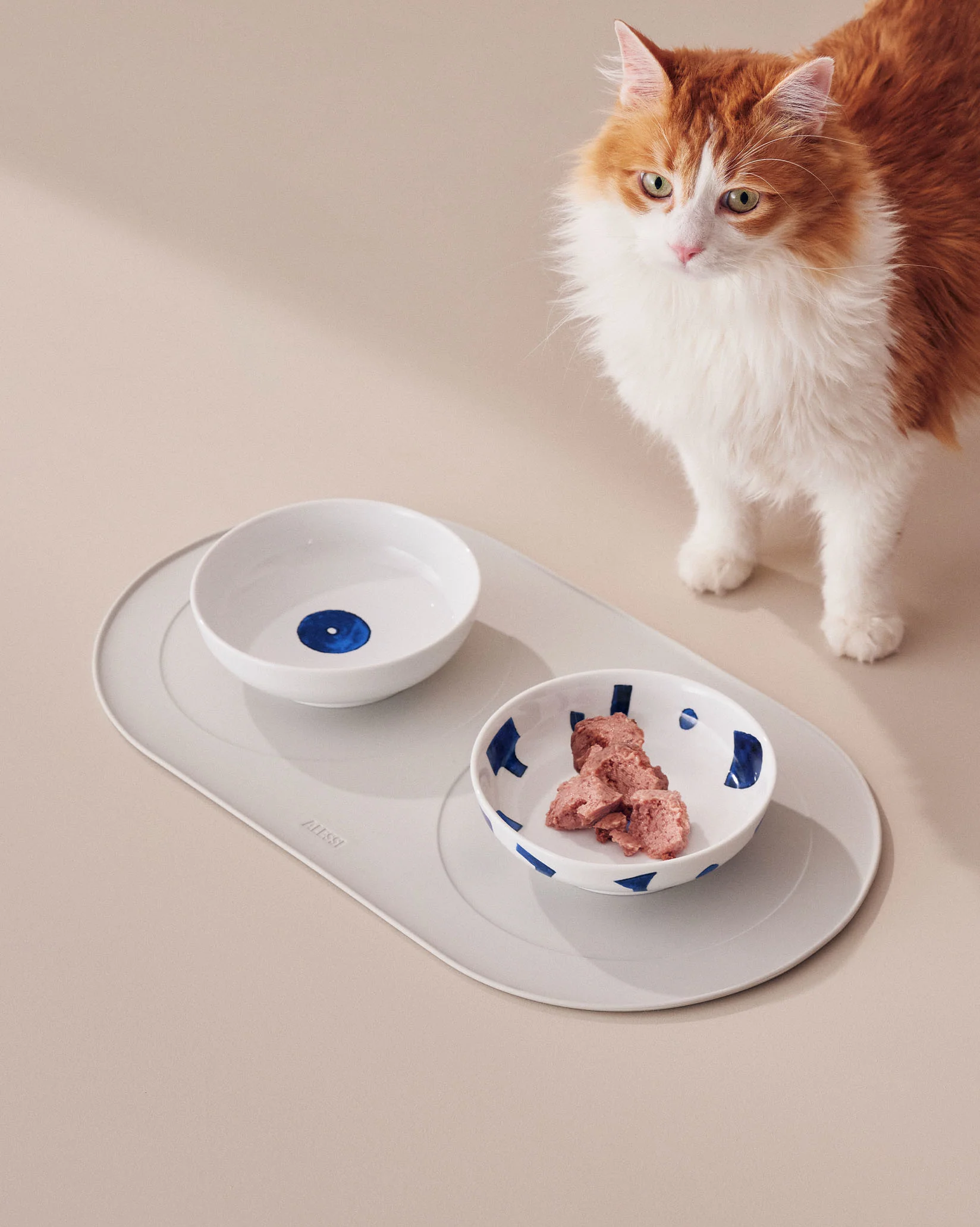 Itsumo pet Yunoki ware - Image 2