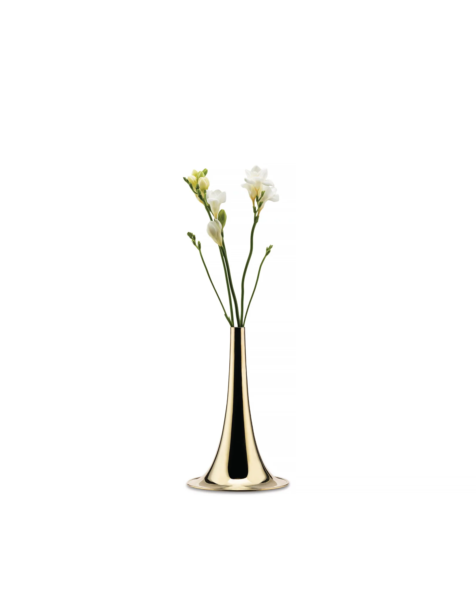 Trumpet - Image 4